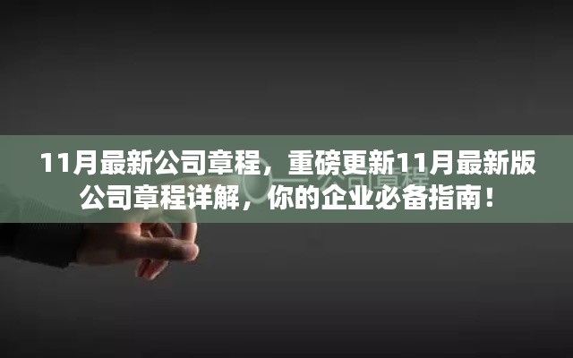 重磅更新!11月最新公司章程详解,企业必备指南!