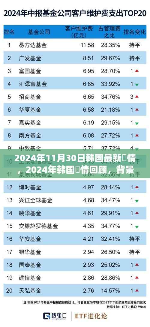 韩国酸情回顾,背景、重要事件与影响,展望2024年最新酸情发展
