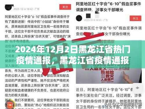 黑龙江省疫情深度通报,体验与评测报告(2024年12月2日)