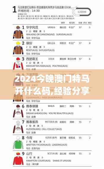 2024今晚澳门特马开什么码,经验分享解答落实_钻石版78.466-9