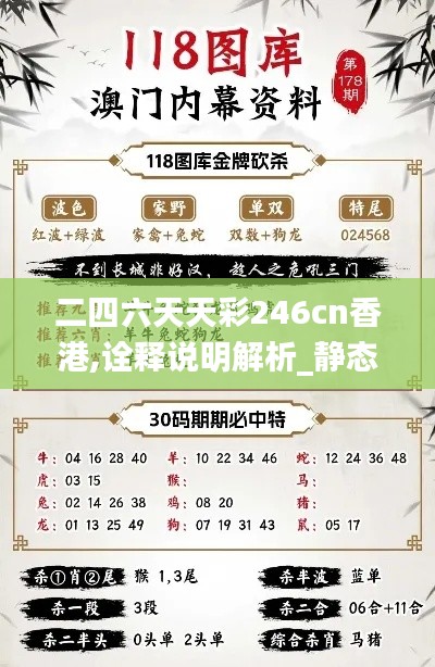 二四六天天彩246cn香港,诠释说明解析_静态版88.237-9