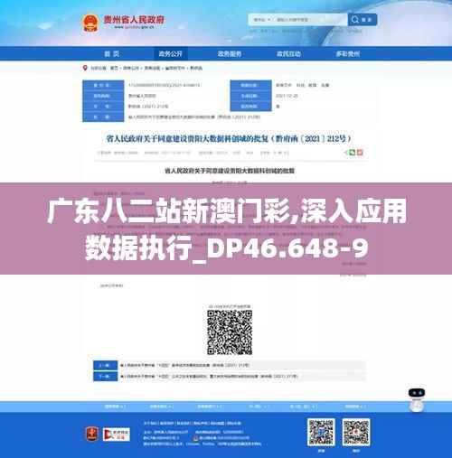 广东八二站新澳门彩,深入应用数据执行_DP46.648-9