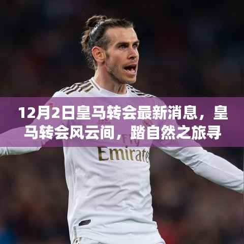 皇马转会风云再起,探寻内心宁静的自然之旅
