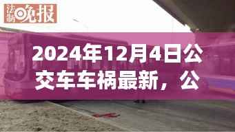 记一次公交车车祸中的奇遇与家的温暖,2024年12月4日的经历