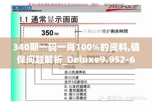 340期一码一肖100%的资料,确保问题解析_Deluxe9.952-6
