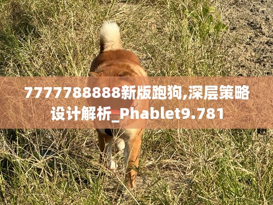 7777788888新版跑狗,深层策略设计解析_Phablet9.781