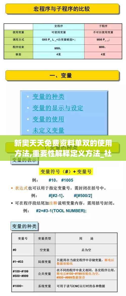 新奥天天免费资料单双的使用方法,重要性解释定义方法_社交版6.560