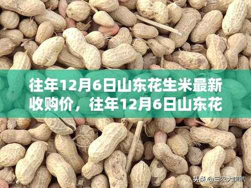 往年12月6日山东花生米最新收购价详解,查询步骤与了解指南