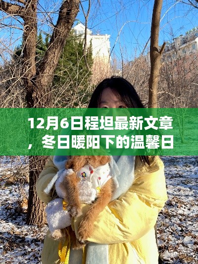 程坦的十二月奇遇记,冬日暖阳下的温馨日常