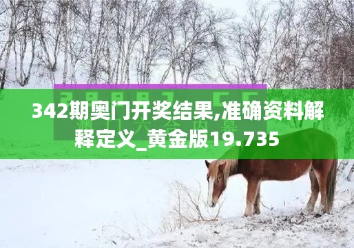 342期奥门开奖结果,准确资料解释定义_黄金版19.735