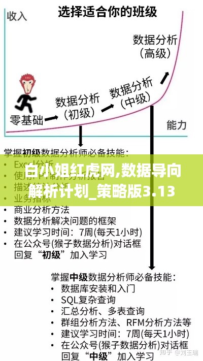 白小姐红虎网,数据导向解析计划_策略版3.136