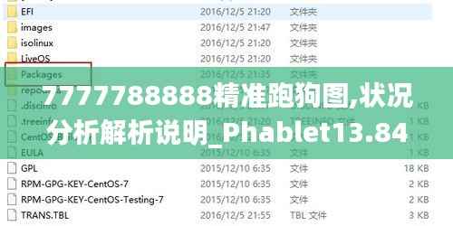 7777788888精准跑狗图,状况分析解析说明_Phablet13.849