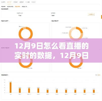 全方位教程,从新手到进阶用户,如何解析观看直播的实时数据——12月9日直播数据解析指南