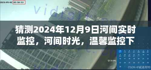 河间时光,温馨监控下的奇妙日常,2024年12月9日的河间奇遇