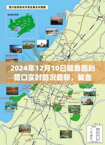 媒体报道 第376页