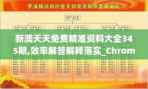 新澳天天免费精准资料大全345期,效率解答解释落实_Chromebook10.706