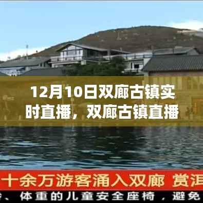 双廊古镇直播日,见证变化的力量,学习赋予自信与成就之光