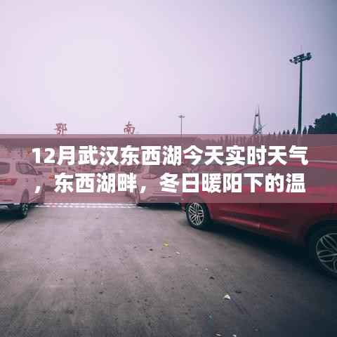武汉东西湖实时天气,冬日暖阳下的温情日常