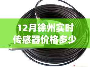 徐州冬日传感器价格探寻之旅,实时价格资讯与温馨体验