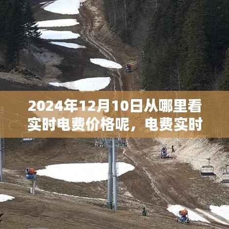 电费实时查询指南,如何轻松查看2024年12月10日的实时电费价格