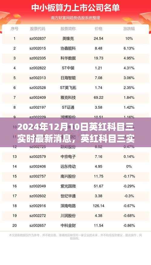 英红科目三实时更新,聚焦最新动态与影响洞察