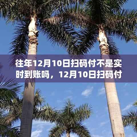 揭秘扫码支付背后的故事,一场自然美景的心灵之旅