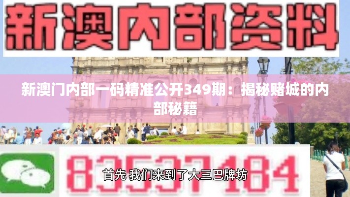 新澳门内部一码精准公开349期:揭秘赌城的内部秘籍