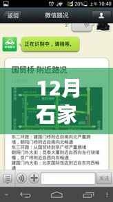 深度解析石家庄封城路况实时查询系统,特性、体验、竞品对比及用户群体分析