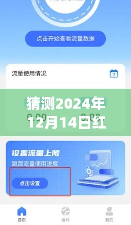 揭秘未来红米10x实时流量查询之旅,预测红米手机在2024年的流量监控功能开启方式
