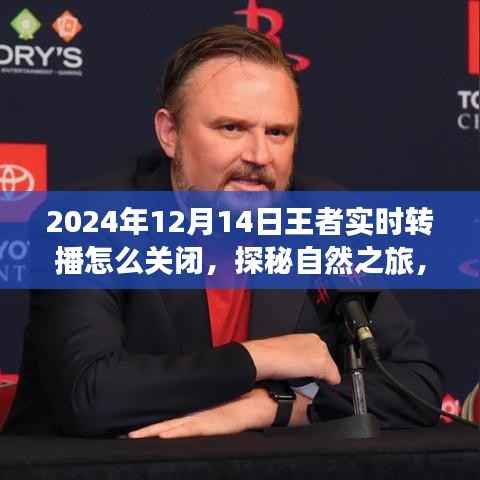 探秘自然之旅与王者实时转播,心态调整与关闭指南,享受宁静时光