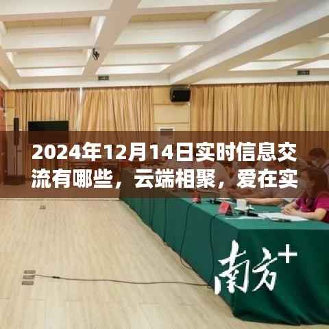 云端相聚,爱在实时交流,2024年实时信息交流概览