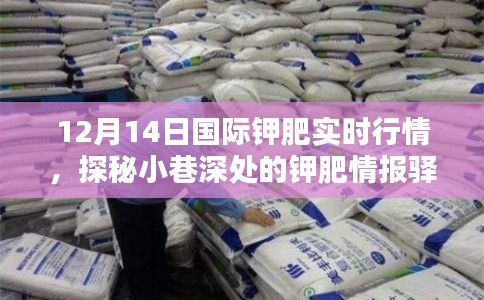 探秘钾肥情报驿站，揭秘国际钾肥实时行情，掌握最新资讯速览（12月14日）