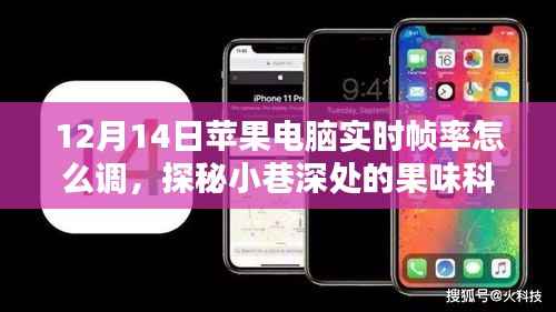 探秘果味科技阁,解锁苹果电脑实时帧率调整秘籍(12月14日教程)