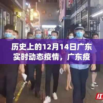 广东疫情下的静谧美景探索,历史视角下的疫情实时动态与自然的共舞旅程