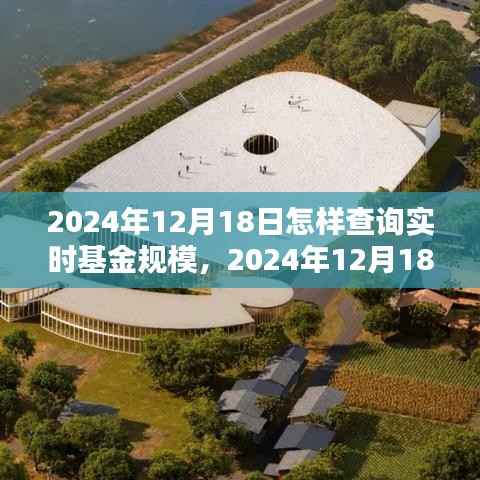 如何轻松查询实时基金规模(针对2024年12月18日)