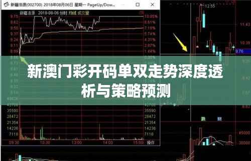 新澳门彩开码单双走势深度透析与策略预测