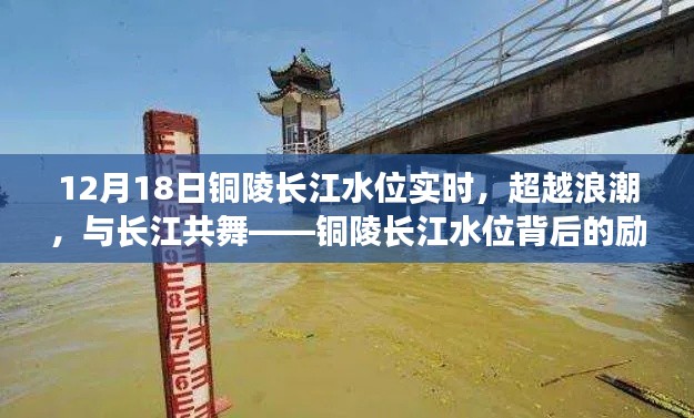铜陵长江水位背后的励志故事,超越浪潮,与长江共舞(实时更新)