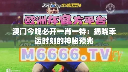 澳门今晚必开一肖一特:揭晓幸运时刻的神秘预兆