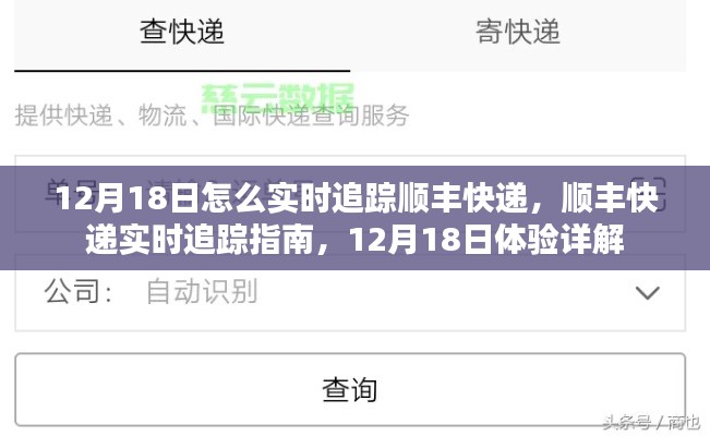 12月18日顺丰快递实时追踪指南,详细体验与追踪教程