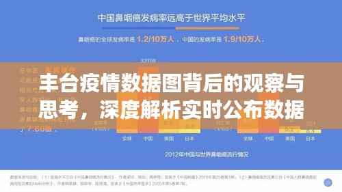 丰台疫情数据图深度解析,实时公布数据的意义与影响观察思考