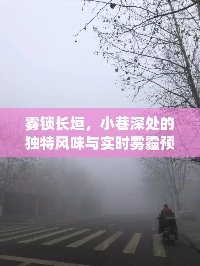 雾锁长垣,小巷深处的独特风味与雾霾实时预报揭秘