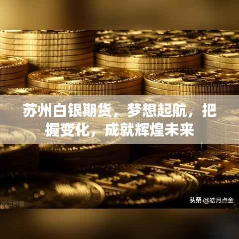 苏州白银期货，把握变化，成就辉煌未来之梦想起航点