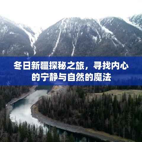 冬日新疆探秘之旅,追寻内心宁静与自然的魔法时刻