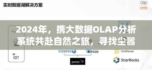 大数据OLAP分析系统助力探寻自然之美,宁静之地的探索之旅