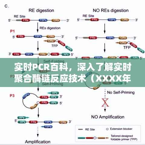 实时PCR技术百科，深入了解聚合酶链反应技术最新解读