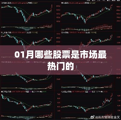 揭秘一月份市场最热门股票