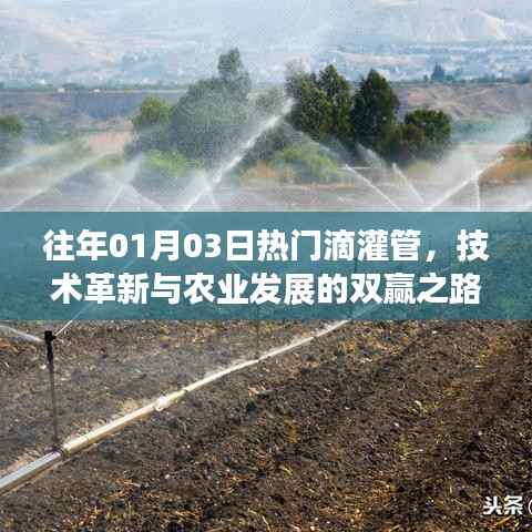 技术革新引领滴灌管发展,助力农业双赢之路