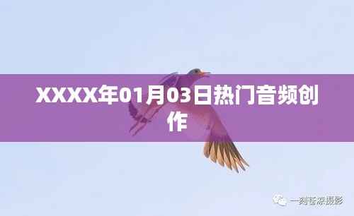 XXXX年1月3日热门音频创作概览
