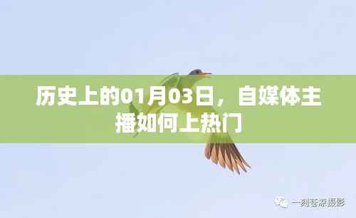 自媒体主播如何把握热门机遇,聚焦历史时刻的机遇与挑战