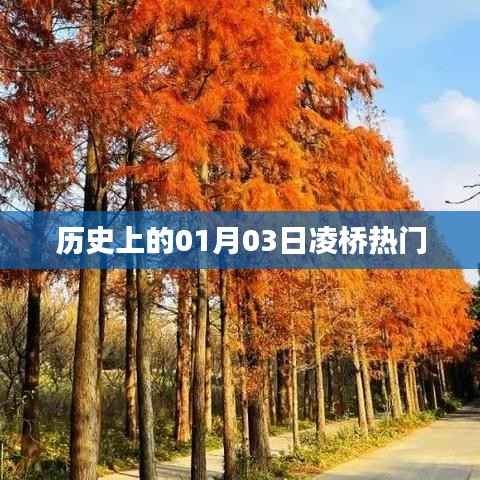 历史上的凌桥热门事件,一月三日揭秘